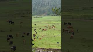 Jiri Dolakha -Switzerland Of Nepal