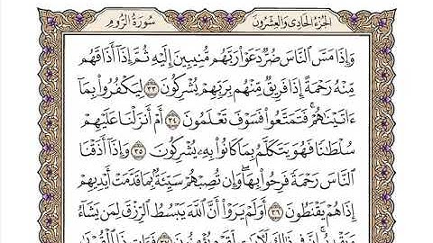 سورة الروم بصوت الشيخ وديع اليمني