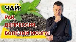 Чай - польза или вред: рак, депрессия, болезни мозга