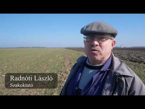AgroKult-KULTÚRA 4. rész