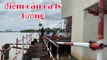 Câu cá cần giờ điểm câu lý tưởng giữa sông xoài rạp