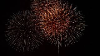 Firework New Year 2025 08 28 17 16 34 Utc