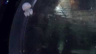 VID00104.AVI