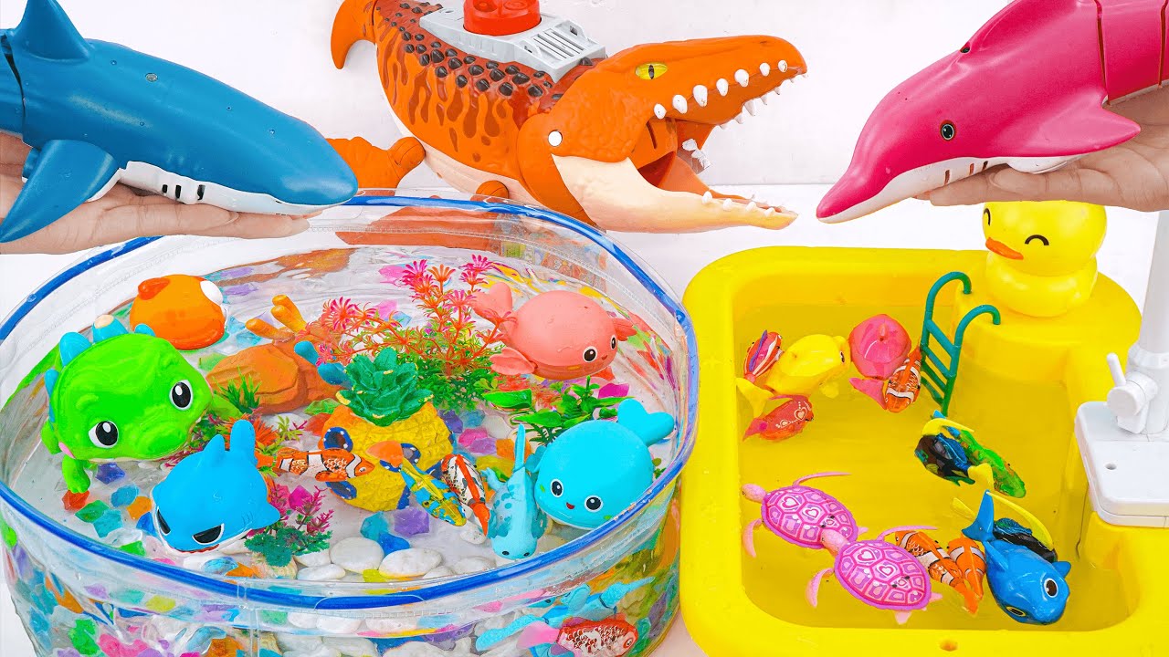 [Toy asmr] Blue Whale & Turtle & Baby Shark & Nimo Fish &Pink Aquarium ...