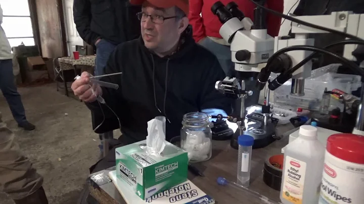 Instrumental Insemination Honey Bee Queen (Jason B...