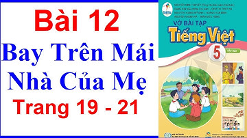 Vở Bài Tập Tiếng Việt Lớp 5 Sách Cánh Diều Bài 12 | Bay Trên Mái Nhà Của Mẹ | Trang 19