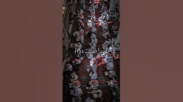 أَلَا بِذِكْرِ اللَّهِ تَطْمَئِنُّ الْقُلُوبُ || سورة الرعد || علي جابر