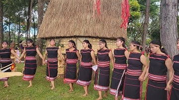 Cồng chiêng giao lưu ở Pleiku Cồng chiêng đến từ làng kép ping Yaly ❤️