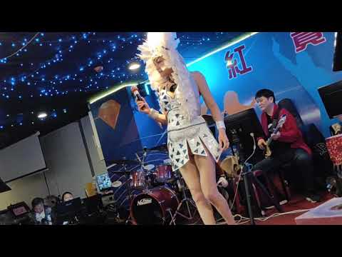 紅寶石音樂夏威夷演唱東洋歌曲