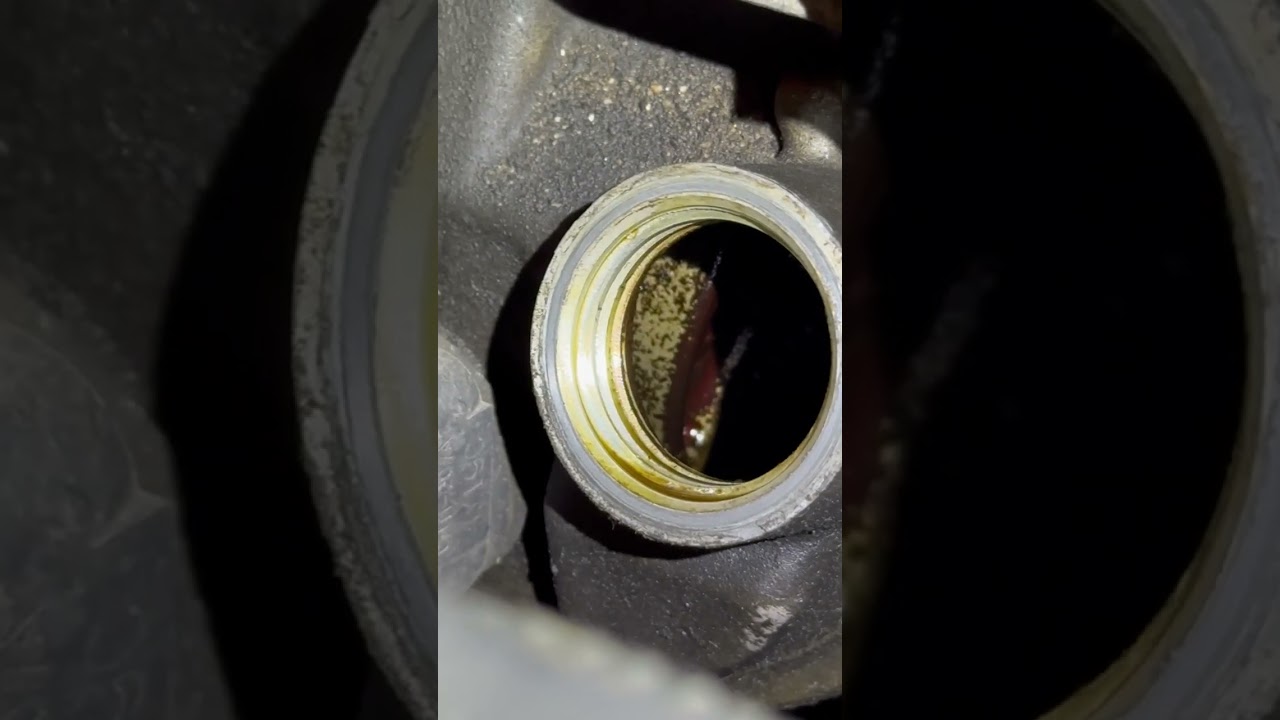 Valvoline Restore and Protect-- update after 6 months