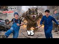 لما اخوك الصغير يهجم عليه حيوان مفترس في الصحراء علاء حسين
