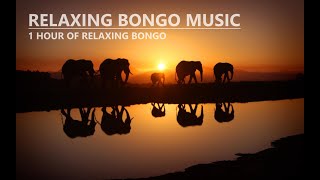 [1 HOUR] Relaxing Bongo Music - Meditation & Concentration