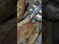 18/6/26இன்று டெய்சி அத்தையிடம் என்ன மீன் இருக்குனு பார்ப்போம் friends#food#seafish#shorts#trending