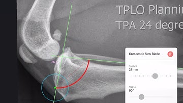 TPLO for Cruciate Disease at Roundhouse Referrals, Glasgow