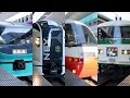 【特急 踊り子号】 一気に４車種４列車！ スーパービュー踊り子 / マリンエクスプレス踊り子 / リゾート踊り子 / 踊り子