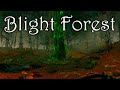 Blight Forest | Medieval Fantasy Horror Ambience