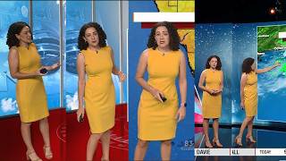 Jennifer Collins from WPLG Local 10 News with the Weather report for August 01, 2026