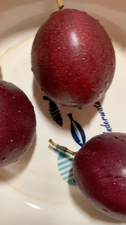 我可不是吃素的，才怪！103kg佛系減肥週記。2025/4 W4