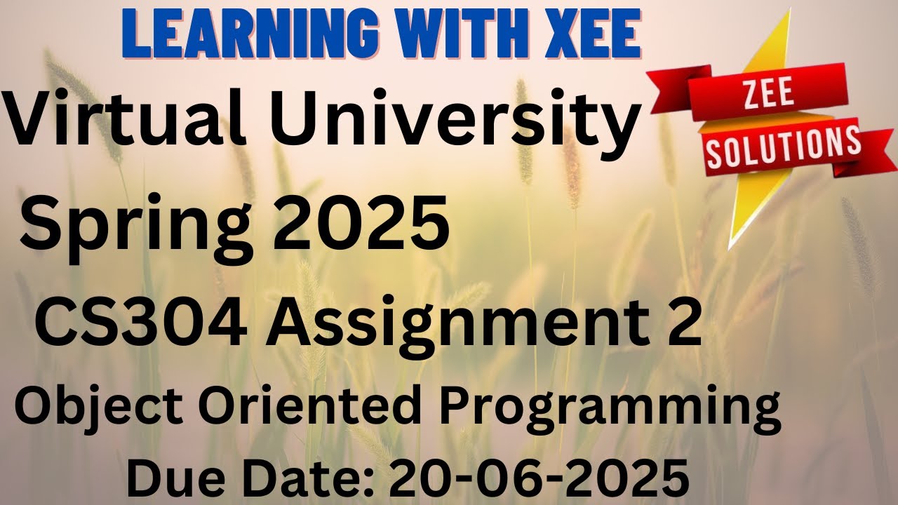 CS304 Object Oriented Programming Assignment 2 Spring 2025 Virtual ...