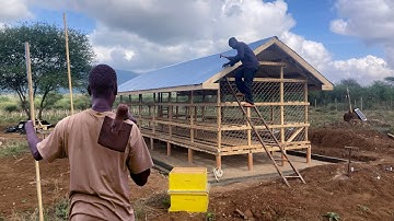 Building an Elevated Bee Sanctuary: Step-by-Step Guide