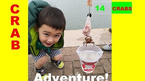 CRABBING in DARTMOUTH, UK! How to Catch a Crab!