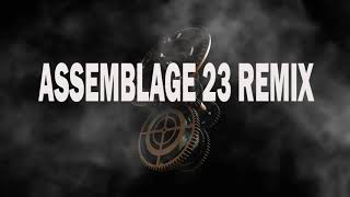 Cold Machine (Assemblage 23 Remix)