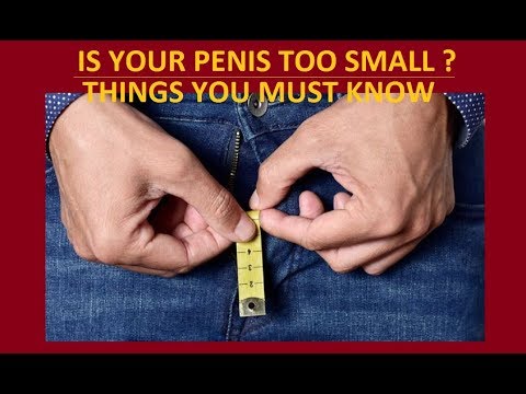 penis minor