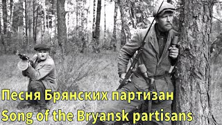 Песня Брянских партизан (Song of the Bryansk partisans) [Cover]