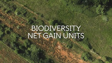 Biodiversity Net Gain - What is it and how can BNG be delivered in the South West?