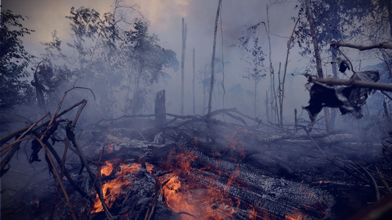 newspaper mockup The Amazon fire in Brazil & new the Indonesian capital