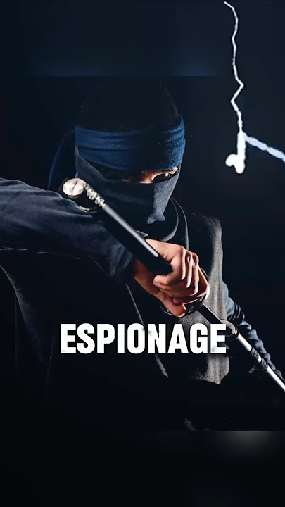Ninja Secrets: The ORIGINAL Special Forces!  #bizarrehistory #ninjas