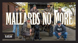 Dr. Duck, Billy Campbell, Rusty Creasey and Pitts hunt with Black Cloud
