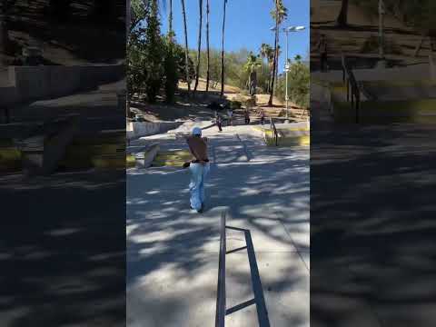 Air Dolphin in
