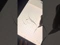 Penmanship - How to write the uppercase letter capital Z on iPad #short