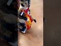 This Flopping Fish Toy Cracks Me Up Every Time 🐟🐱 #Ad