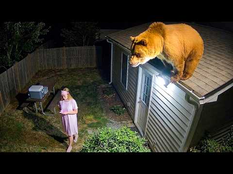 100 INCREDIBLE MOMENTS CAUGHT IN THE BACKYARD