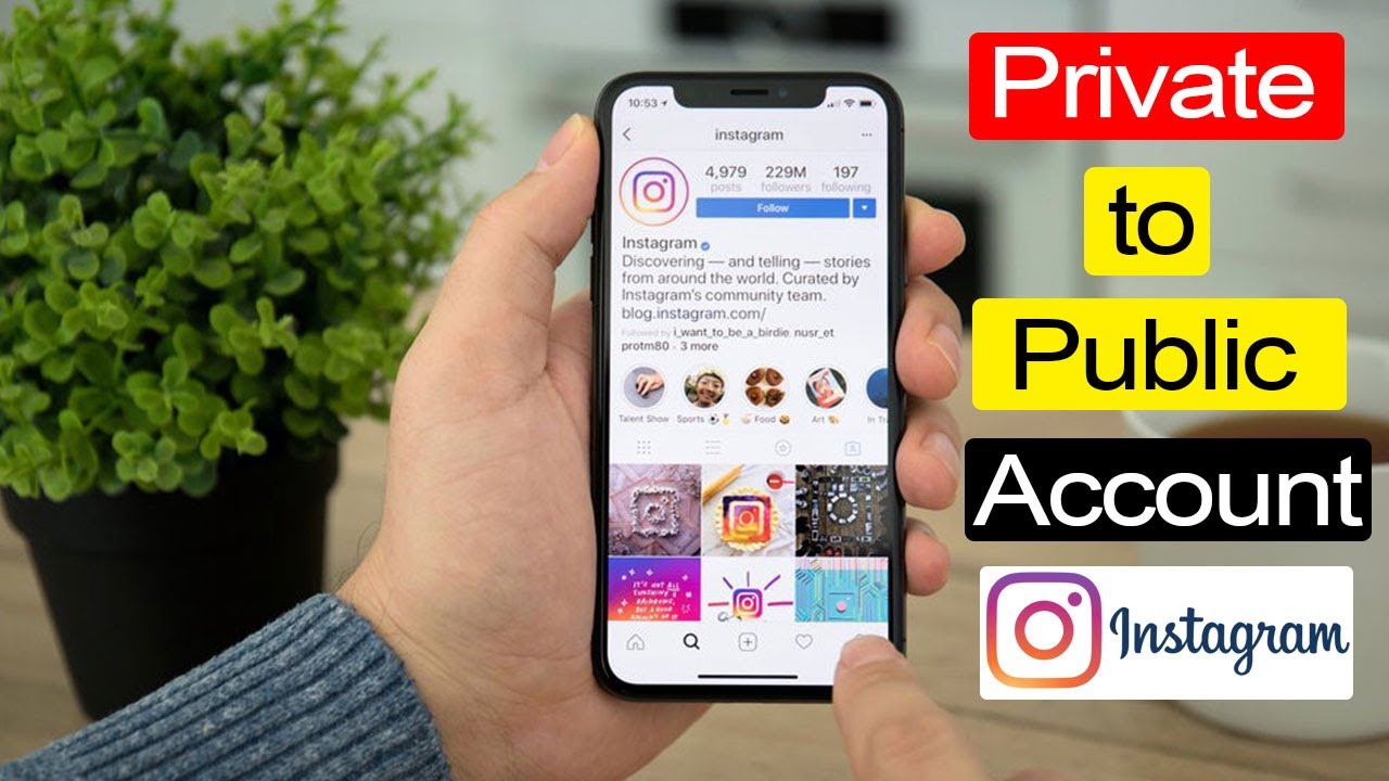 How to change Private Instagram account to Public account? YouTube