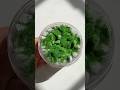 🍃🪨👒 slime from chinese shop: mamiya uk #asmr