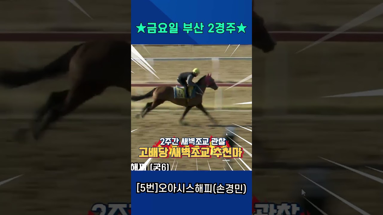 4월10일 금요일 부산 2경주!! 2주간 훈련보인 강백호의 새벽조교 쏘스마!!