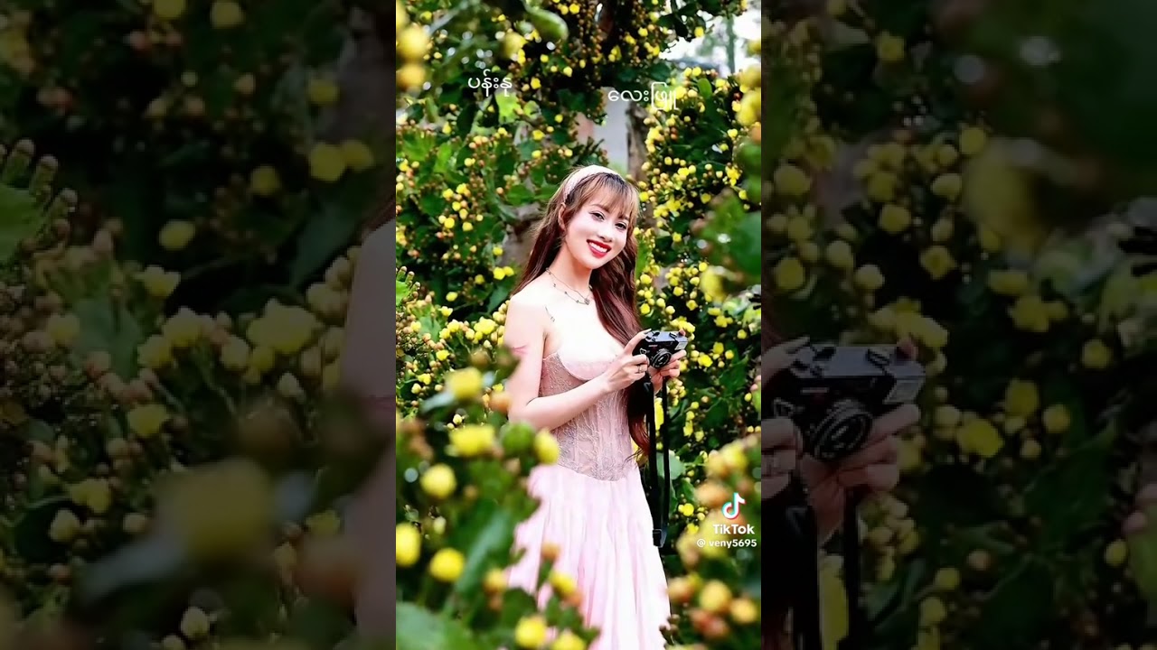 ပန်းနု  -လေးဖြူ  #layphyu #icon #Myarnmar