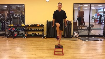 Box Step Up and Stabilization