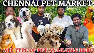 EXOTIC PETS BROADWAY AT MARKET| PETS| @gowthamirfan3858#broadwaypetmarket#petmarket#pets