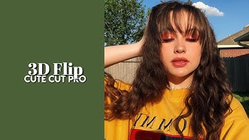 3D Flip Transition || CCP