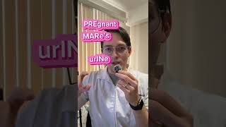 Premarin 🐴 #pharmacy #pharmacist #healthcare #menopause #hrt