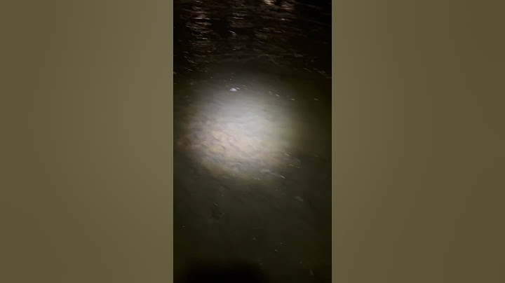 The water started moving… then THIS happened! #FishingLife #ShadRun #RiverFishing #BaitFish #shorts