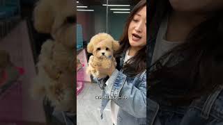 Today The Little Cutie Comes Out To Meet You Again. The Daily Record Of Cute Pets. The Joy Of Raisi