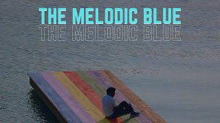 The Melodic Blue / Baby Keem ベイビー・キーム Baby Keem – The Melodic Blue – 2 x Vinyl (LP, Album, Stereo