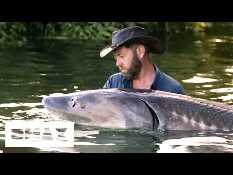 Forrest Galante Catches GIANT Prehistoric River Monster | Mysterious Creatures With Forrest Galante
