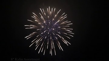 Lynch Imports 8"  Kylin Assortment