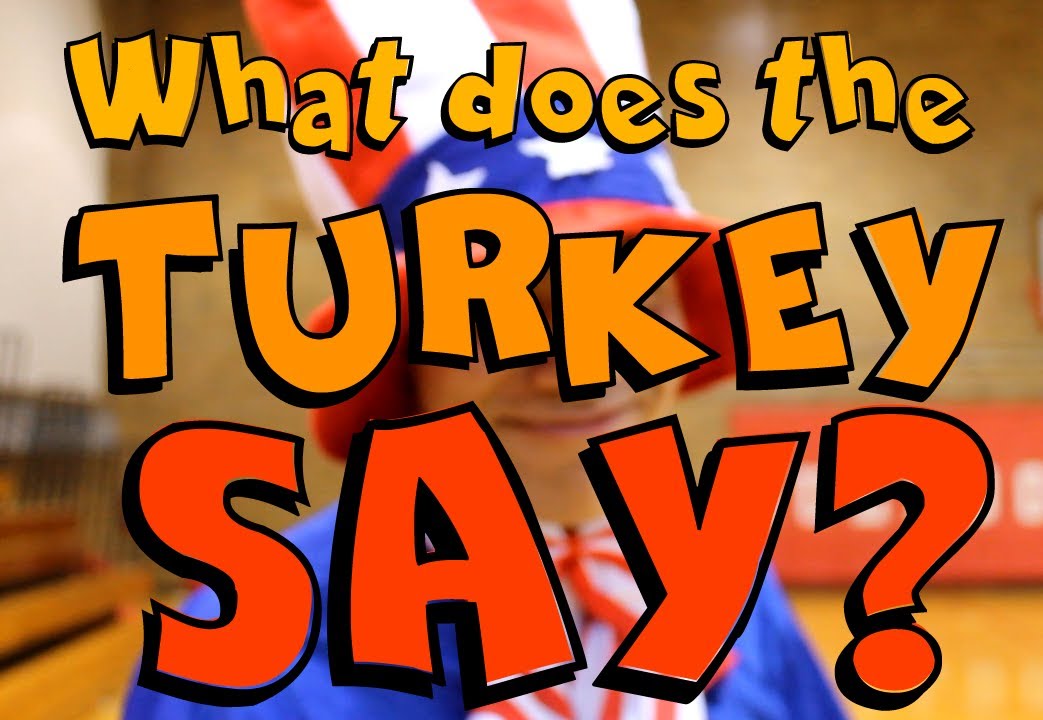 The Turkey What Does The Turkey Say Sayings Turkey Credit Union